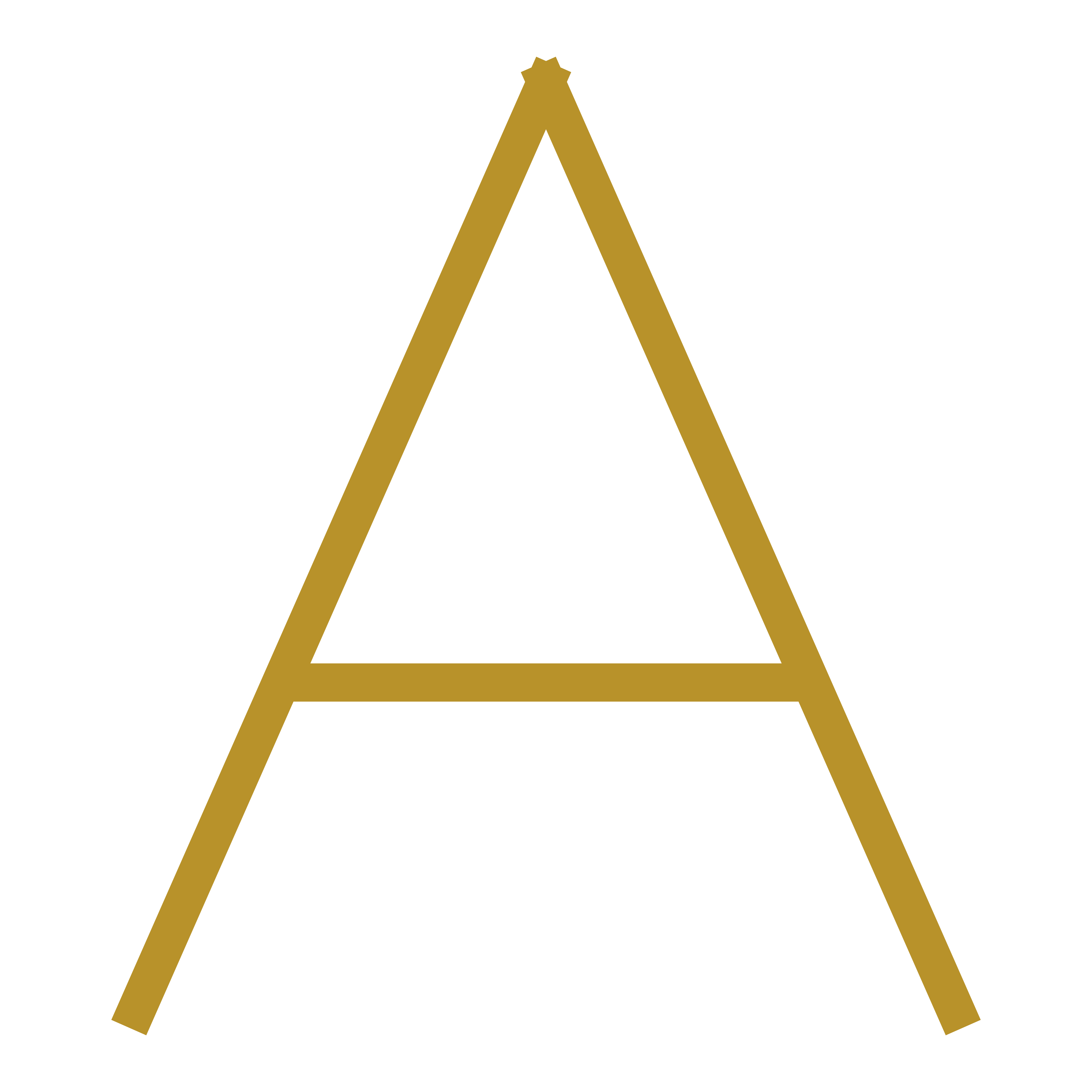 Apollo Bookkeeping & Advisory